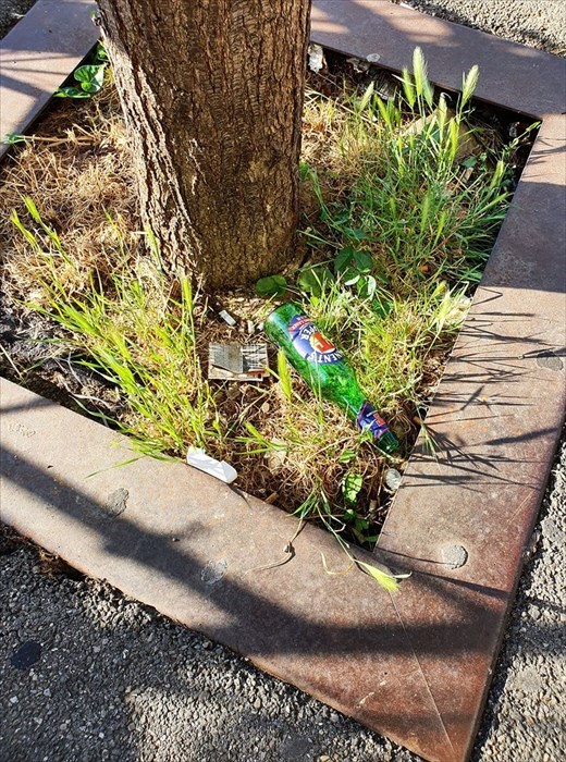 Il degrado di viale Guidoni