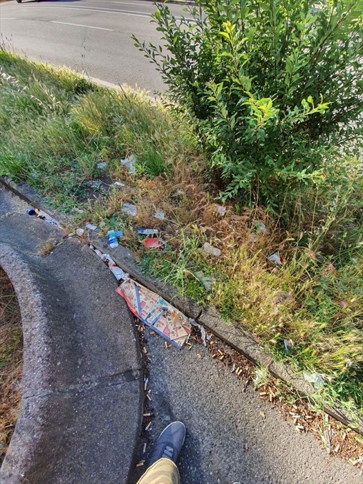 Il degrado di viale Guidoni