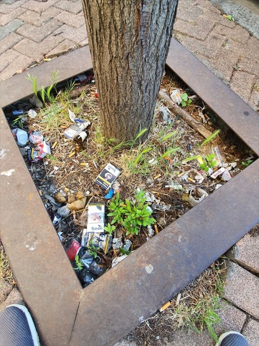 Il degrado di viale Guidoni