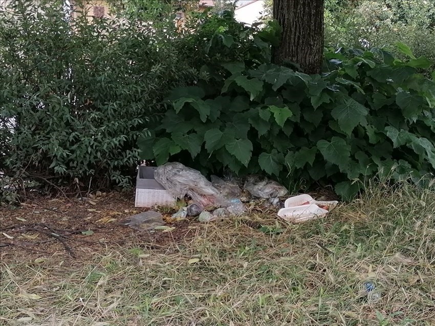 il giardino dimenticato