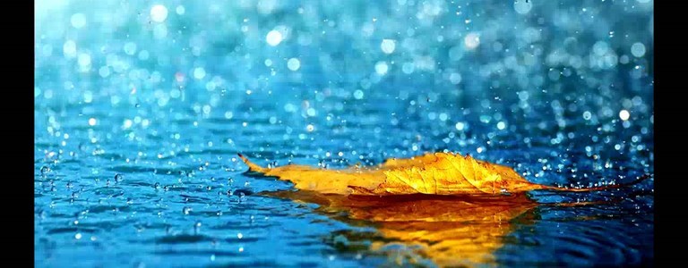 Meteo. Domani allerta gialla per temporali e grandine