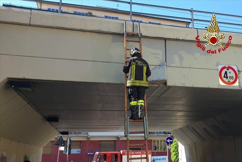 L'intervento dei vigili del fuoco