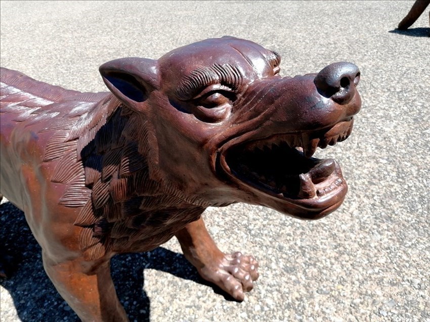 Primo piano di uno dei lupi