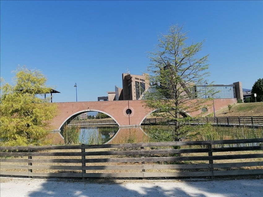 Il parco di San Donato, il laghetto