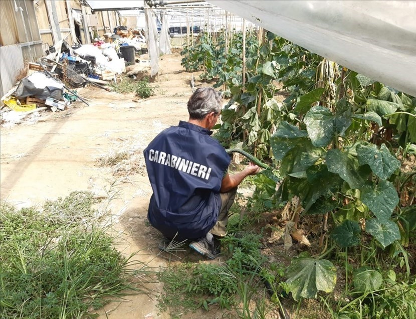 Gli orti sequestrati