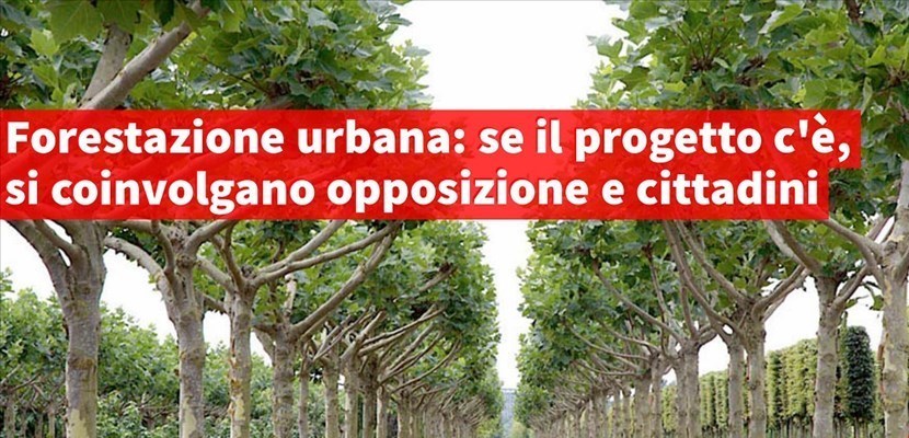 forestazione urbana a Calenzano