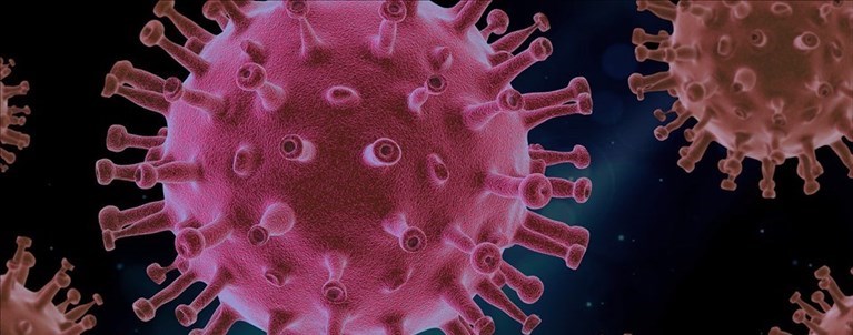 Coronavirus