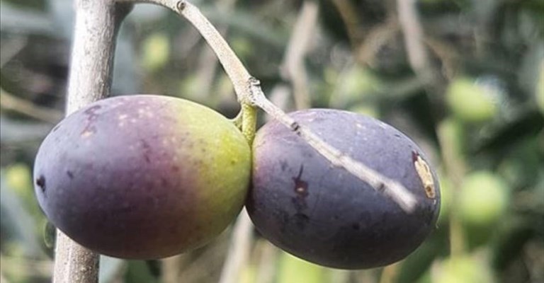 permessi per frangere. Ecco le regole