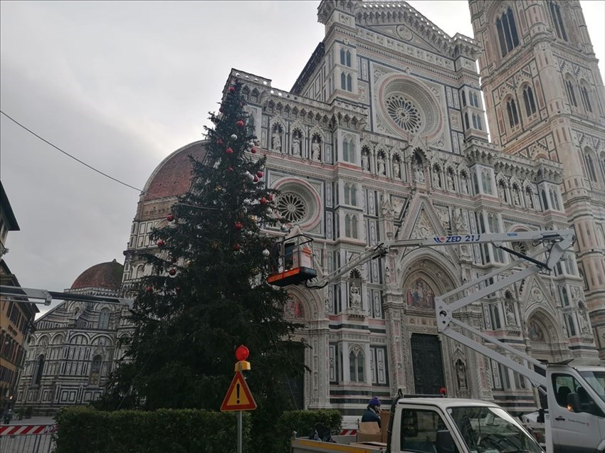 Allestimento dell'abete in Piazza Duomo a Firenze