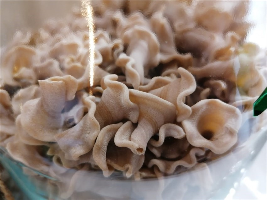 prodotti secchi scelti