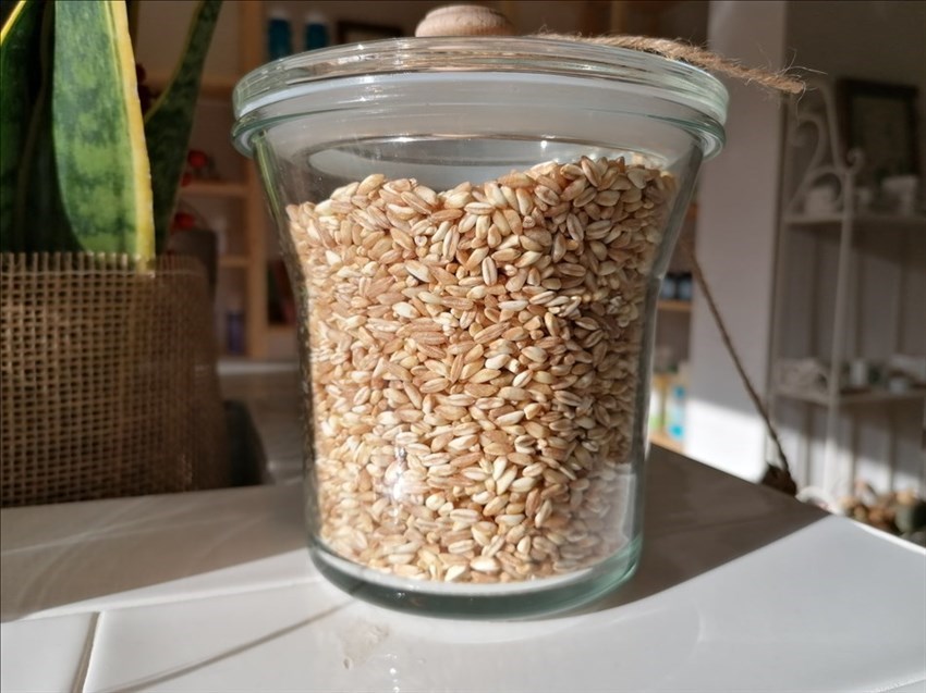 prodotti secchi scelti