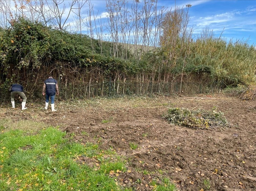 Ritrovamento valige con resti umani