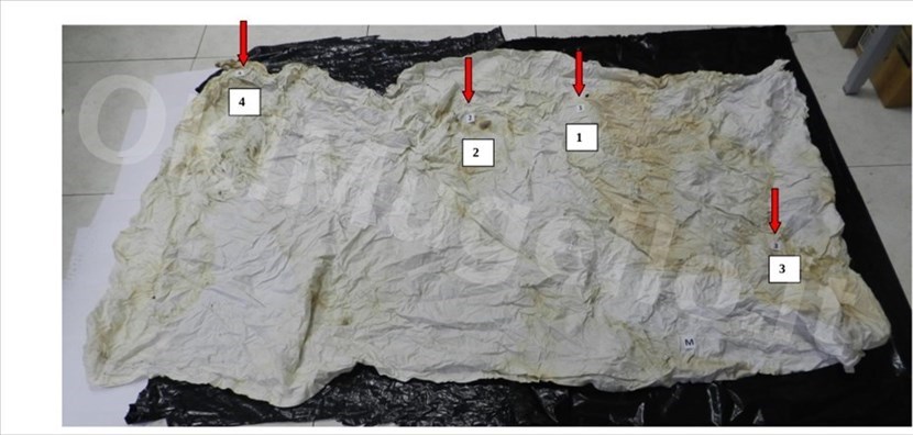 Mostro di Firenze - sapremo mai la verità?