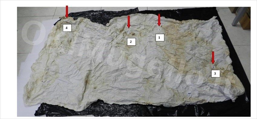 reperti della tenda ed identikit