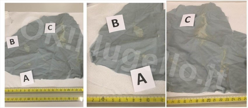 reperti della tenda ed identikit