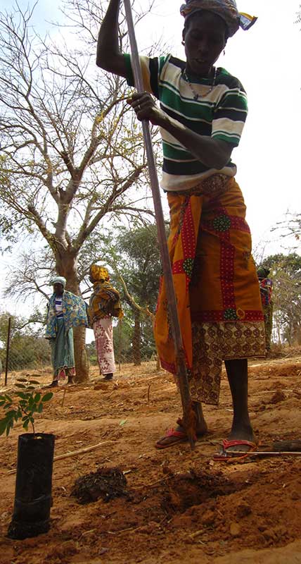 Da Polcanto al deserto. L'impegno di Margherita per i bimbi