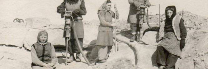 Libri in redazione. " Il primo gulag. Le isole Solovki " di Francesco Bigazzi