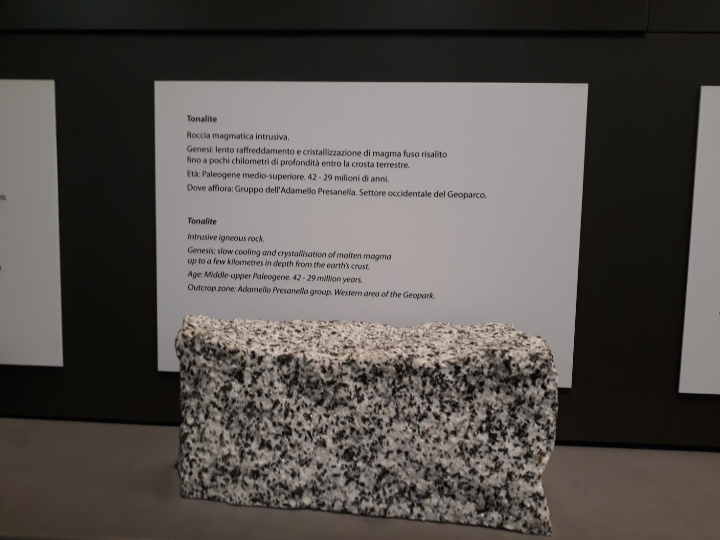 Metti una sera a Pinzolo, e incontrare il mugellano Francesco Fuligni