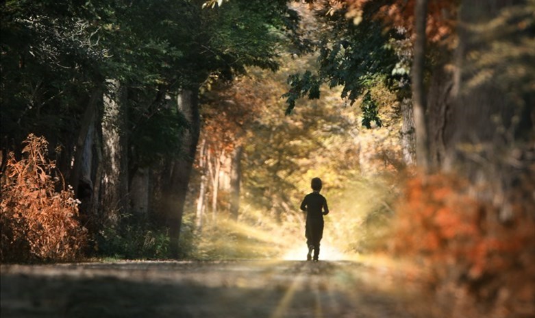 Tornare ad uscire dal guscio