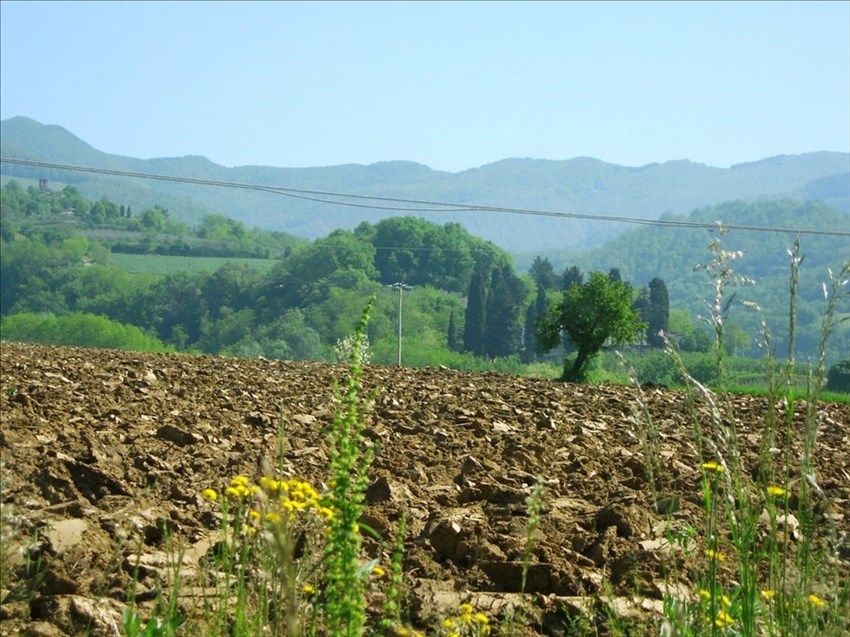 Veduta del sito di Ascianello