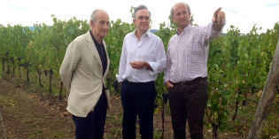 Vigne e paesaggio. Rossi incontra Frescobaldi