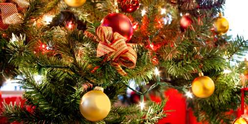 L'eroina nascosta nell'albero di Natale, denunciato