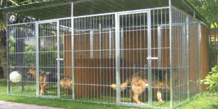 Box più piccoli per i cani Toscani?? Protesta degli animalisti