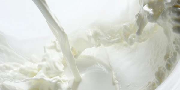 'Centrale del Latte d'Italia'. L'offerta di Torino, i dettagli