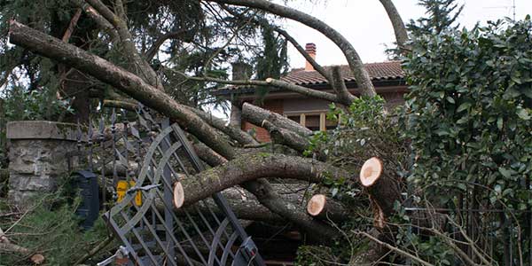 Il vento ha cambiato il volto del nostro territorio