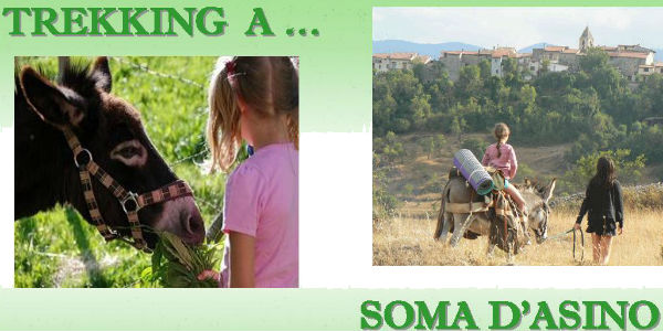 Domenica 17 Maggio, trekking a soma d'asino (per bambini). Le info