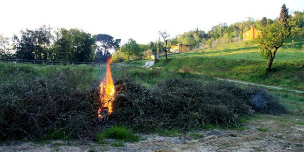 Incendi. Divieto assoluto di bruciare residui vegetali