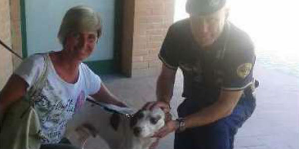 In auto sotto il sole. Cane salvato nel parcheggio