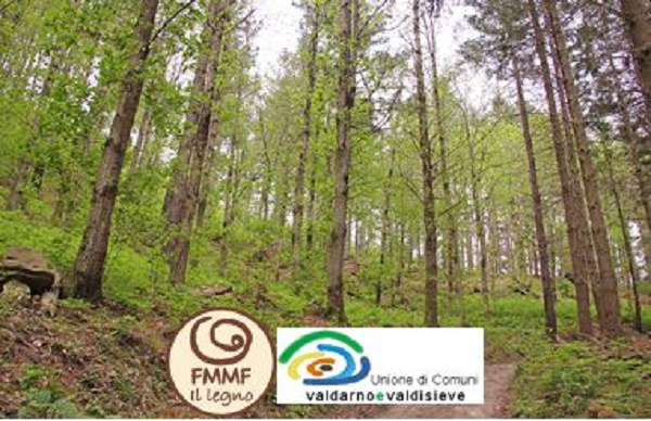 Foresta modello. Un marchio per il legno della montagna fiorentina