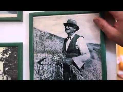 Le nostre frazioni in Tv. Ponzalla