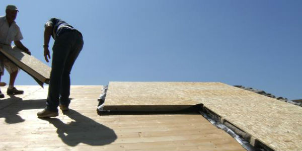 Edimare-tetto-in-alghe