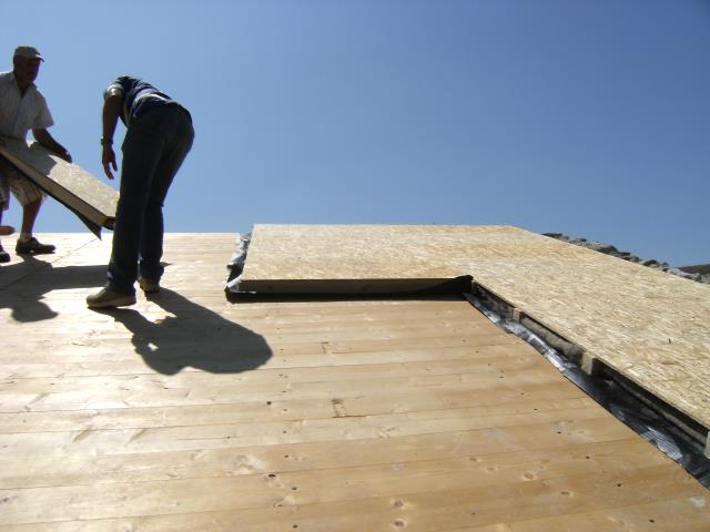 Edimare-tetto-in-alghe