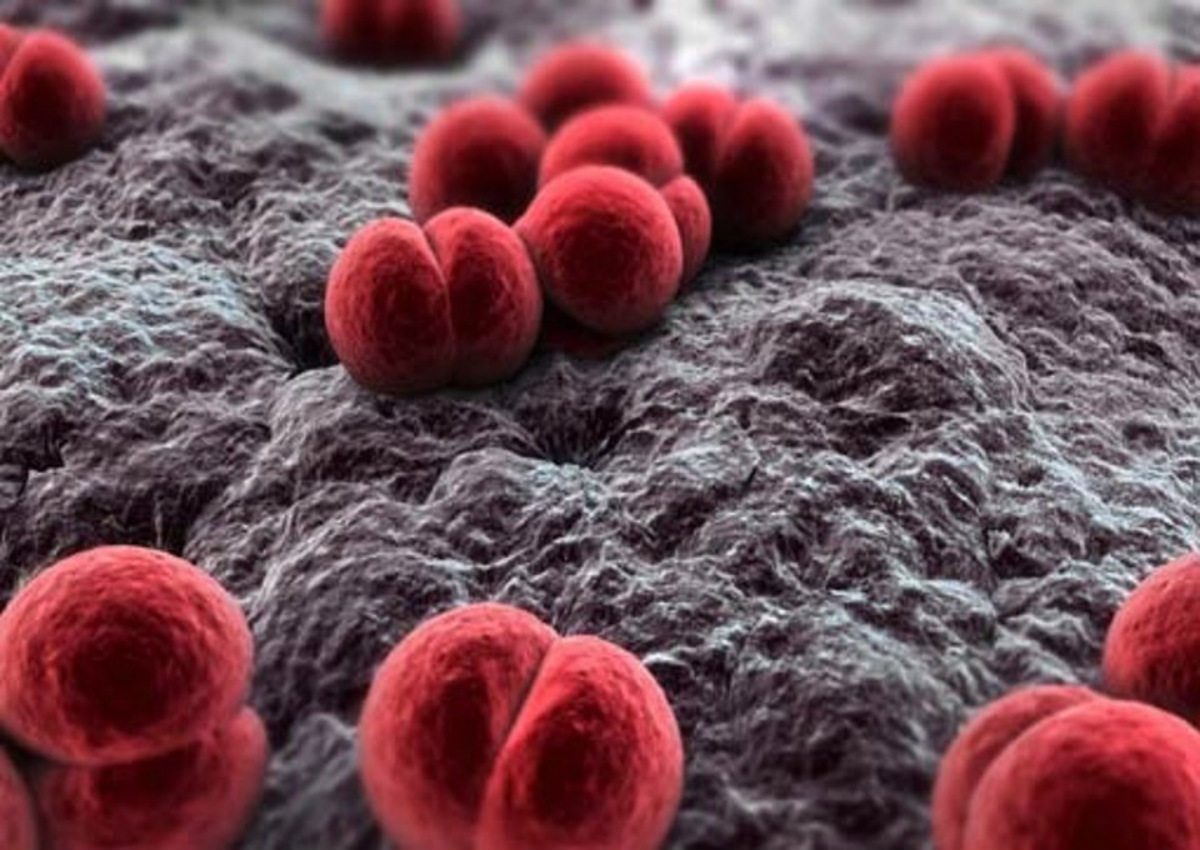 Meningite, nuovo appello: «Non si abbassi la guardia»