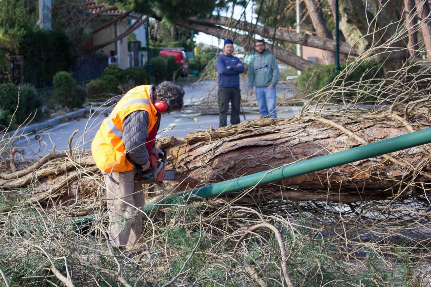 Contributi danni maltempo: domani scade il tempo per fare domanda