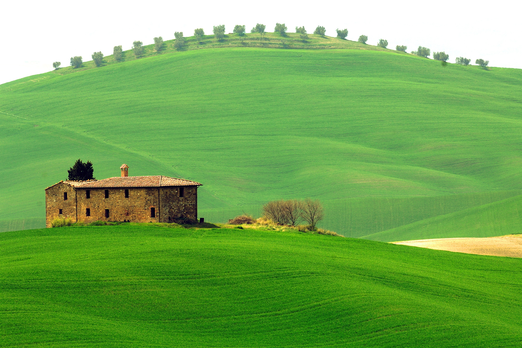 L'Alluvione nelle foto di Roberto Germogli. Una mostra