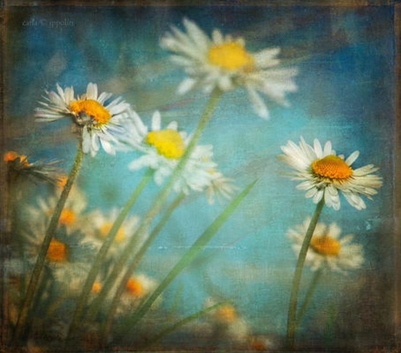 Rufina saluta Tommaso. Ricordo di un 'bambino speciale'