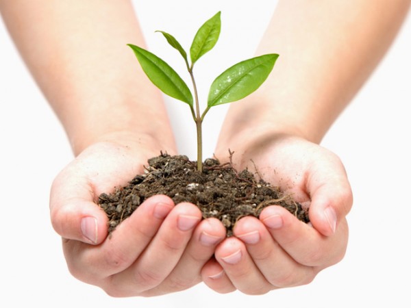 Parco Pratolino, cresce l'Educazione Ambientale di qualità a Firenze