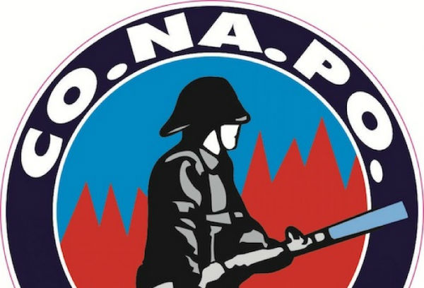 Vigili del fuoco. Il sindacato Conapo protesta a Firenze