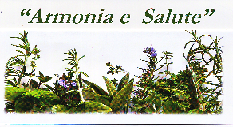 Locandina Monghidoro