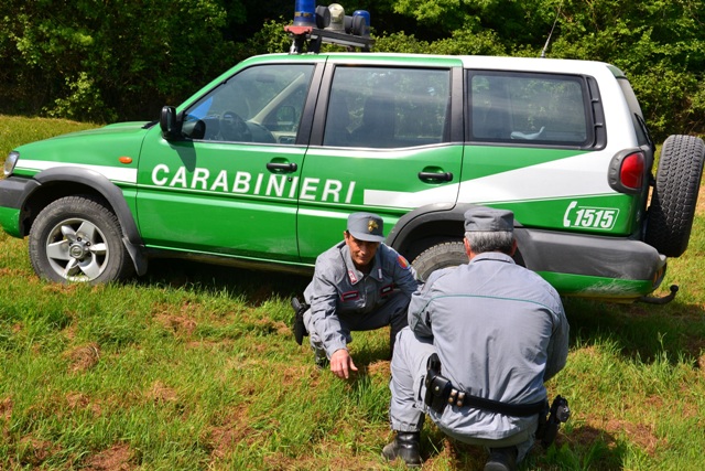 Preso dai Carabinieri l'autore dell'incendio di Firenzuola