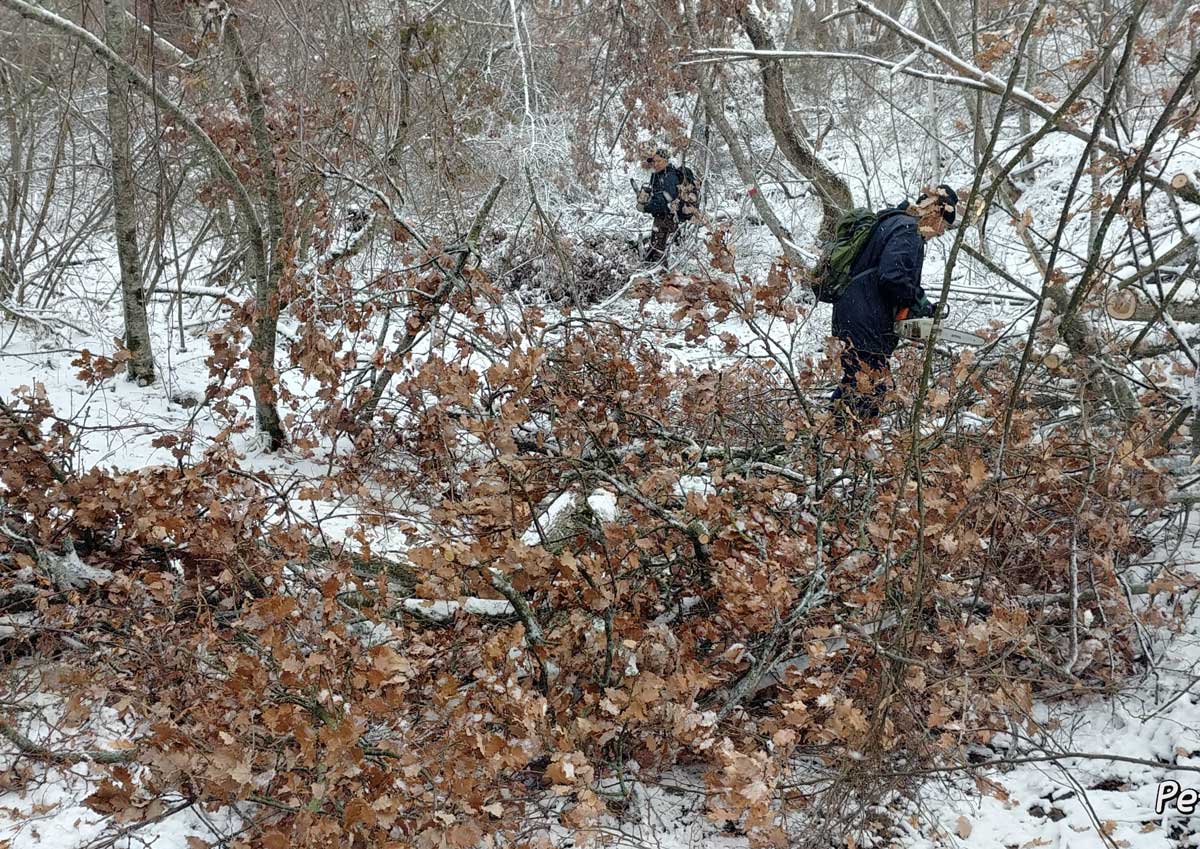 Volontari al lavoro per il ripristino della Via Degli Dei dopo la neve
