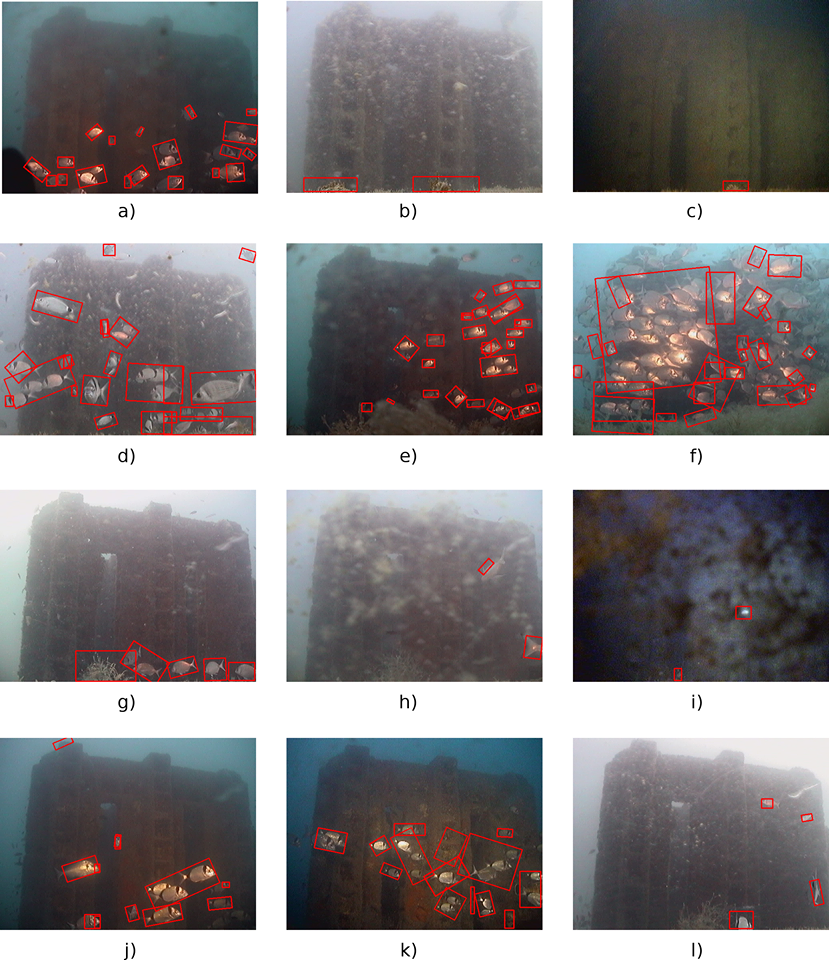 Un metodo automatico per contare i pesci del mare, lo spiega il Cnr