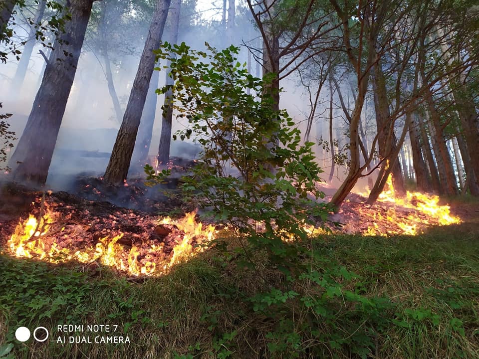incendio-vab-casaglia5-18 Aug 2019