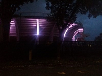 Franchi in viola il 17 novembre 2019 (giornata mondiale della prematurità)