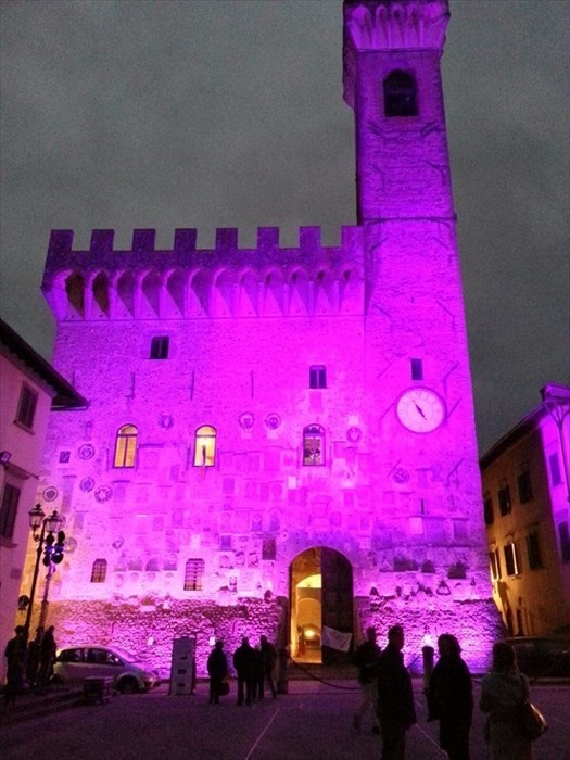 Palazzo dei Vicari in viola il 17 novembre 2015 (Giornata mondiale della prematurità)