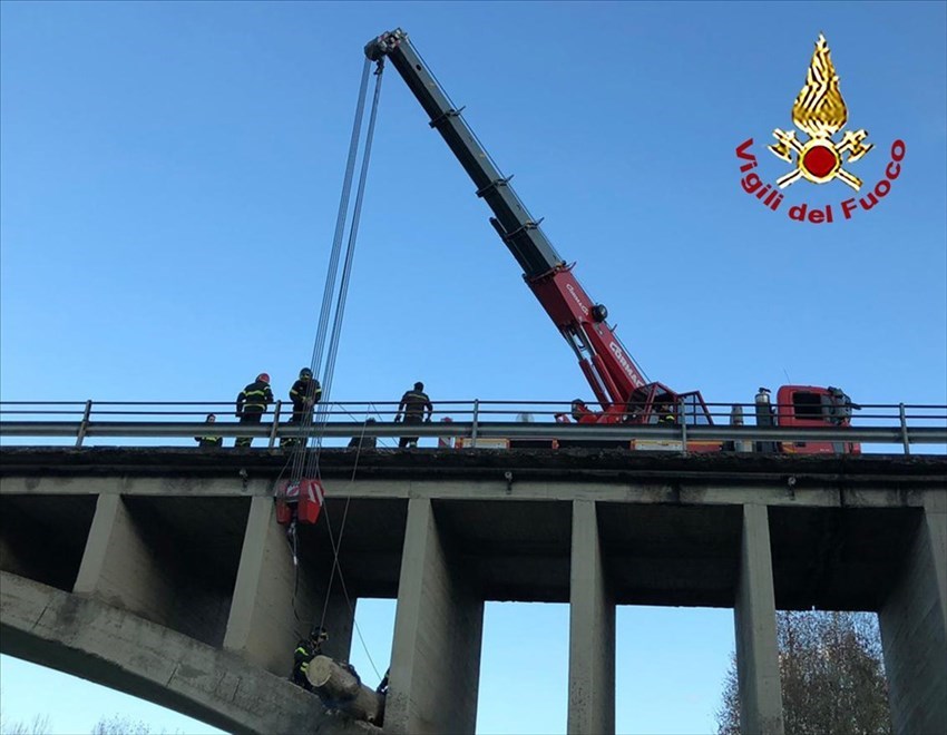 Rimozione tronchi Ponte di Rosano